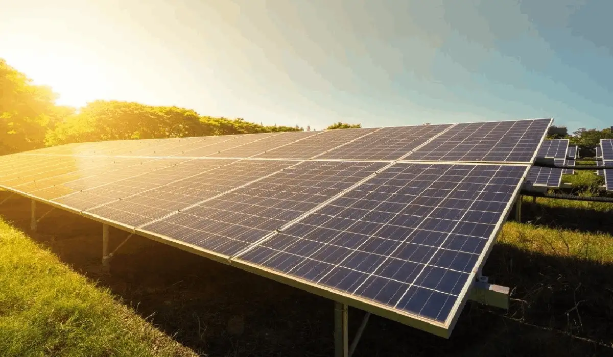 Solar Inverter Dealers in Akaltara